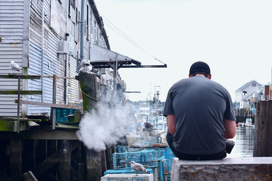 vape mod