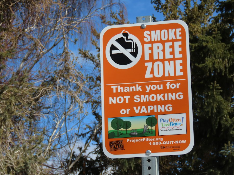 vape pod